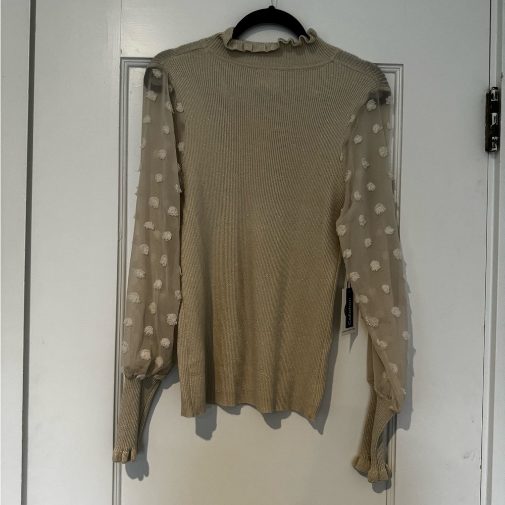 NWT Sheer sleeve Callahan sweater